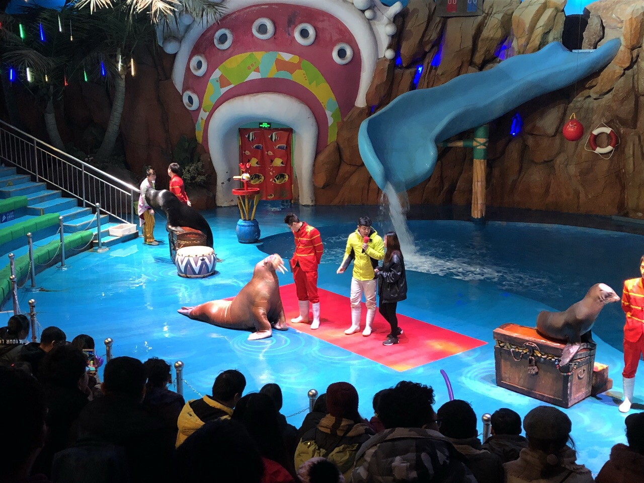 雷电竞-粤西鲸鲨队鏖战塞外黑豹队,举重预选赛惊险晋级,核心复出即建功。保级形势悄然变化(鲨鱼举重赛2)