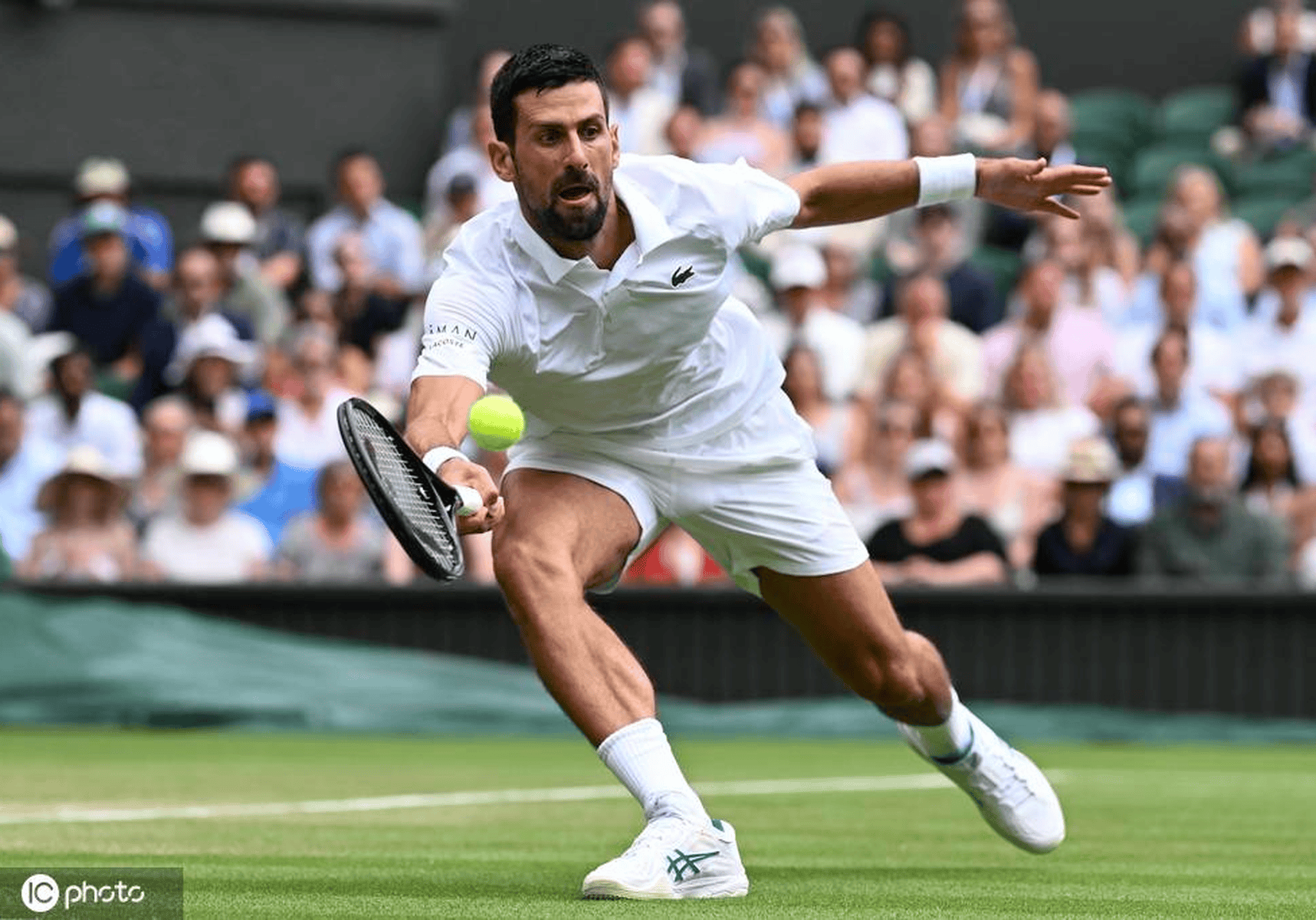 RAYBET-关于德约科维奇关键节点战术调整，日本队带队取胜！的信息